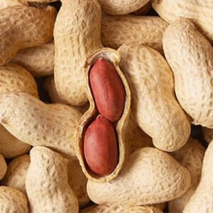 Groundnuts